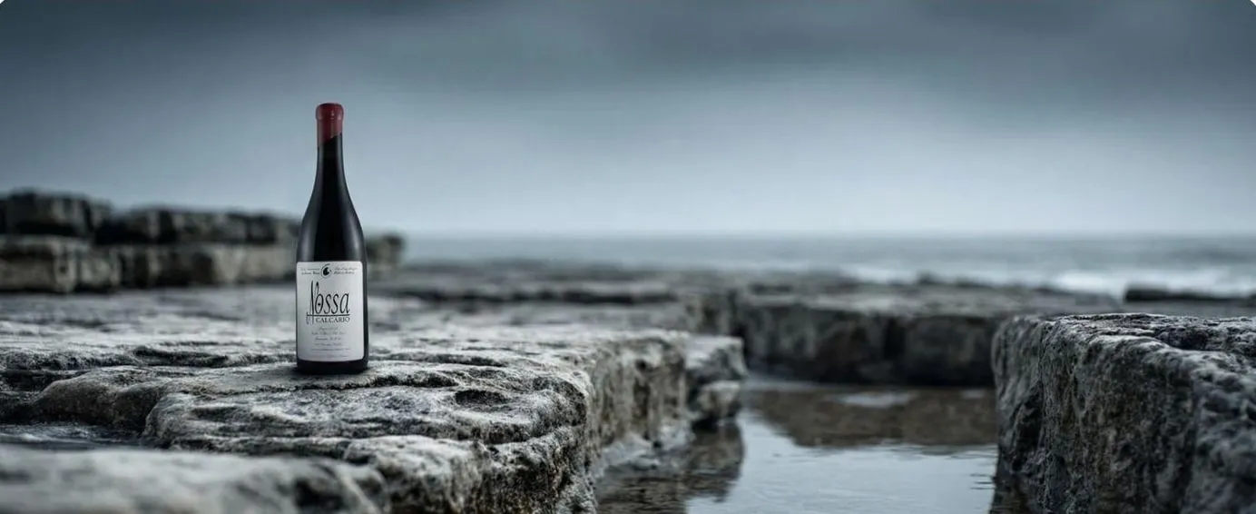 The bottle standing on limestone by the sea